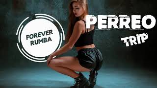 Perreo Trip  DJ Roviz Forever Rumba [upl. by Eirena534]