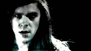 Ariel Pink  Burned Out Love Official Video [upl. by Haimehen515]