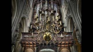 Sint Jan Den Bosch [upl. by Annerol559]