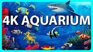 The Best 4K Aquarium for Relaxation 🐠 Relaxing Oceanscapes  Sleep Meditation 4K UHD Screensaver [upl. by Hazrit]