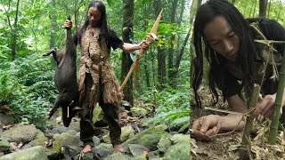 Rainforest Animals and Plant Life in the Amazon Jungle  BBC Studios [upl. by Adlay]