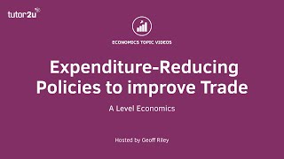 Balance of Payments  ExpenditureReducing Policies I A Level and IB Economics [upl. by Tiduj]