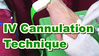 How to Insert IV Cannula  IV Cannulation Technique  Branula  Intravenous Catheter [upl. by Zippora127]