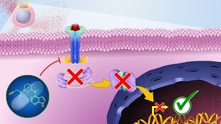 Mechanism of Action of JAK Inhibitors [upl. by Narcho]