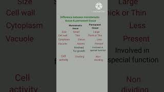 Difference between meristematic tissue amp permanent tissue shorts youtubeshorts shortsfeed [upl. by Sheridan157]