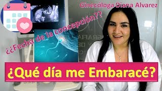 ¿QUÉ DÍA ME EMBARACÉ ¿CÓMO CALCULAR LA FECHA DE CONCEPCIÓN POR GINECOLOGA DIANA ALVAREZ [upl. by Bing]