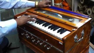 Harmonium BINA no 30B 20110302 [upl. by Baecher]