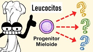 Células Mieloides  Granulocitos Monocitos Dendríticas [upl. by Sherlocke]