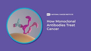 How Monoclonal Antibodies Treat Cancer [upl. by Conlon748]