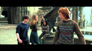 All 8 Harry Potter Movies  Every Harry Ron Hermione [upl. by Roxine]