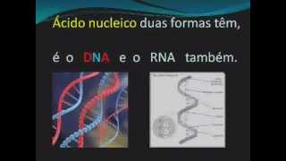 MÚSICA ÁCIDOS NUCLEICOS dna rna música biologia [upl. by Anihtyc192]