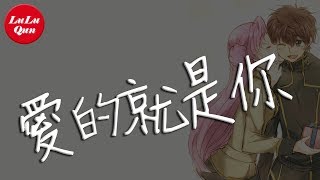 抖音《愛的就是你》劉佳【動態歌詞Lyrics】 [upl. by Suolhcin]