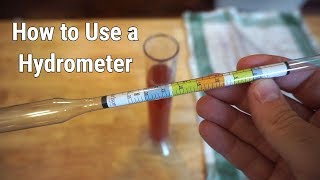 How to Use a Hydrometer for Winemaking [upl. by Thora]