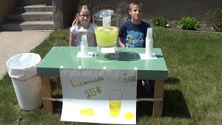 How to Run Your Own Lemonade Stand [upl. by Osyth313]