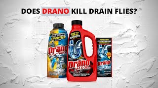 Will Drano Kill Drain Flies Stop Those Pests [upl. by Kassi]