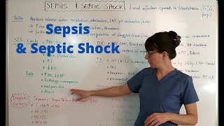 Sepsis amp Septic Shock [upl. by Faith]