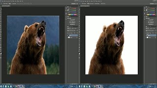 TUTO Comment détourer une image sur Photoshop [upl. by Fishman]