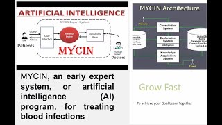 Mycin Expert System [upl. by Alyworth]