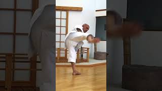 USHIRO MAWASHI GERI [upl. by Allac]