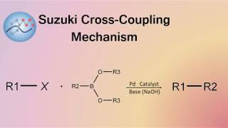 Suzuki CrossCoupling Mechanism  Organic Chemistry [upl. by Ahsinac]