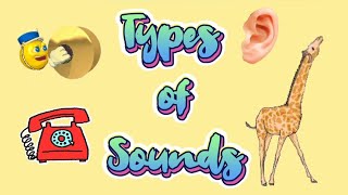 TYPES OF SOUNDS  SOUNDS  1ST GRADE  ONLINE CLASS  SCIENCE [upl. by Modie]