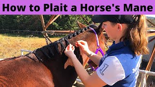 How to Plait a Horses Mane  Show Horse Preparation Plaiting Tips  How to Braid a Horses Mane [upl. by Adiv]