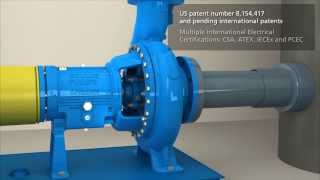 Goulds Pumps iFRAME Overview 3196 pump [upl. by Tersina]