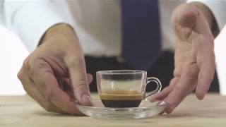 GAGGIA HOME BARISTA ACADEMY  HOW TO MAKE A PERFECT ITALIAN ESPRESSO [upl. by Erica587]