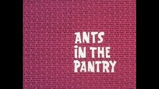 Ant and the Aardvark ANTS IN THE PANTRY  2 bumpers TV version laugh track [upl. by Jabin]