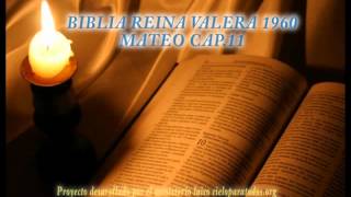 Biblia HabladaBIBLIA REINA VALERA 1960 MATEO CAP 11 [upl. by Prudie868]