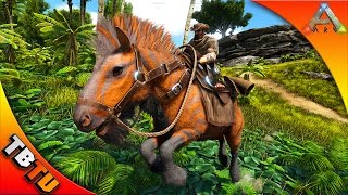 🚩ARK EQUUS TAMING WHERE TO FIND amp HOW TO TAME THE EQUUS Ark Survival Evolved V256 Gameplay [upl. by Angeli]