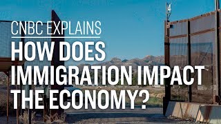 How does immigration impact the economy  CNBC Explains [upl. by Annil]