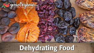 How to Dehydrate and Preserve Organic Fruit [upl. by Yregerg]