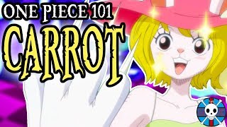 Carrot Explained  One Piece 101 [upl. by Etiuqram]