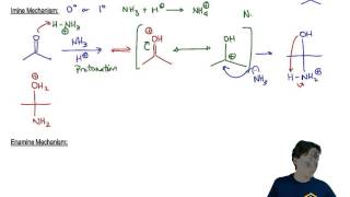 Imines and Enamines Mechanism [upl. by Firestone512]