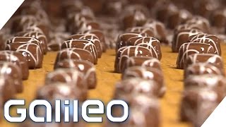 Herstellung der MiniPraline  Galileo  ProSieben [upl. by Hcab]