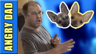 ANGRY DAD GETS A SECOND PUPPY WHILE POOPING [upl. by Lyred871]