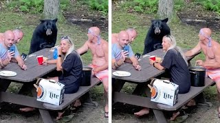 Family Enjoy Picnic With Wild Bear [upl. by Leopoldine]