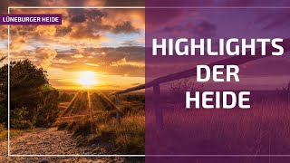 Highlights der Lüneburger Heide Totengrund und Wilseder Berg [upl. by Laurette]