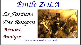 BAC  Émile ZOLA La Fortune Des Rougon Résumé Analyse [upl. by Nivri701]