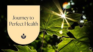 Deepak Chopra Journey to Perfect Health A Guided Meditation [upl. by Irrehc]