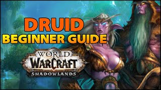 Druid Beginner Guide  Overview amp Builds for ALL Specs WoW Shadowlands [upl. by Ajiam]