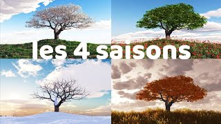 les 4 saisons de l’année [upl. by Fabio]