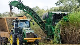 John Deere CH570 Sugarcane Harvester [upl. by Nirahs627]