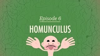 Homunculus Crash Course Psychology 6 [upl. by Vanessa]