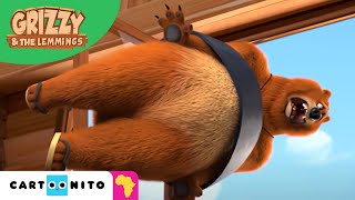 Grizzy and the Lemmings  Target Bear  Cartoonito Africa [upl. by Krysta326]