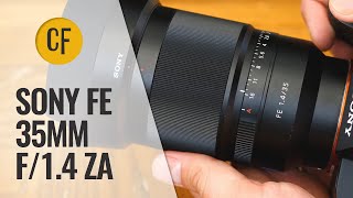 Sony FE 35mm f14 ZA lens review with samples Fullframe amp APSC [upl. by Sitnerp]