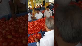 ಚಿಕ್ಕಮಗಳೂರು ಮಾರುಕಟ್ಟೆ  Chikkamangaluru Tomato Market  Today Tomato Price CK Gowtham Vlogs [upl. by Samal710]