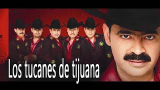 Los Tucanes De Tijuana  Puros Corridos Pesados Mix 2021 [upl. by Sukhum]