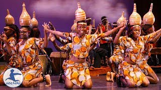 Top 10 Best Traditional African Dances [upl. by Herries]